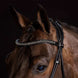 Schockemöhle Westminster Trenshoofdstellen - Maddelin Equestrian Schockemohle