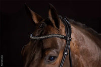 Schockemöhle Westminster Trenshoofdstellen - Maddelin Equestrian Schockemohle