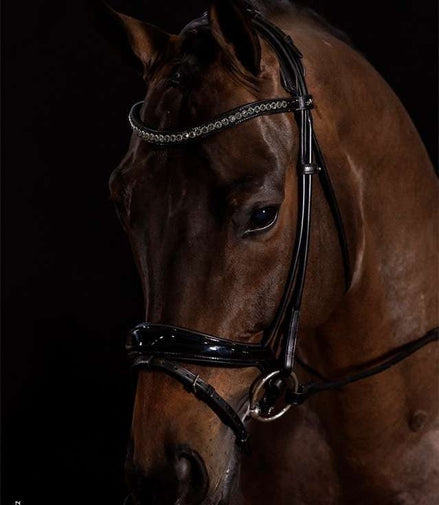 Schockemöhle Westminster Trenshoofdstellen - Maddelin Equestrian Schockemohle