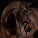 Schockemöhle Westminster Trenshoofdstellen - Maddelin Equestrian Schockemohle
