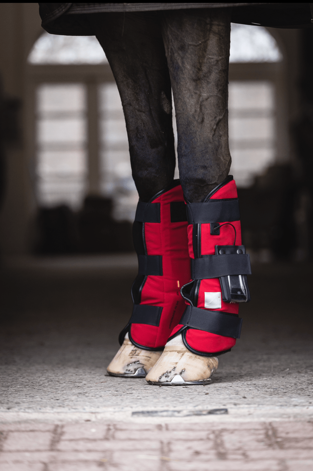 SportInnovations Pulsating magnetic leg wraps (1pair) Transport, therapeutisch en stalbeschermers - Maddelin Equestrian