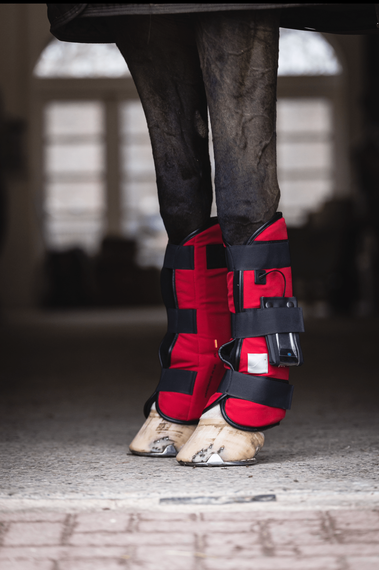 SportInnovations Pulsating magnetic leg wraps (1pair) Transport, therapeutisch en stalbeschermers - Maddelin Equestrian