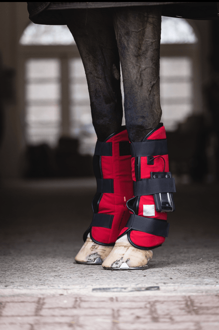 SportInnovations Pulsating magnetic leg wraps (1pair) Transport, therapeutisch en stalbeschermers - Maddelin Equestrian