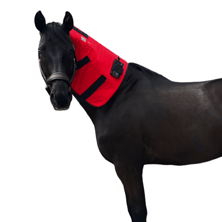 SportInnovations Therapyblanket MagPro neck part Therapeutisch - Maddelin Equestrian SportInnovations