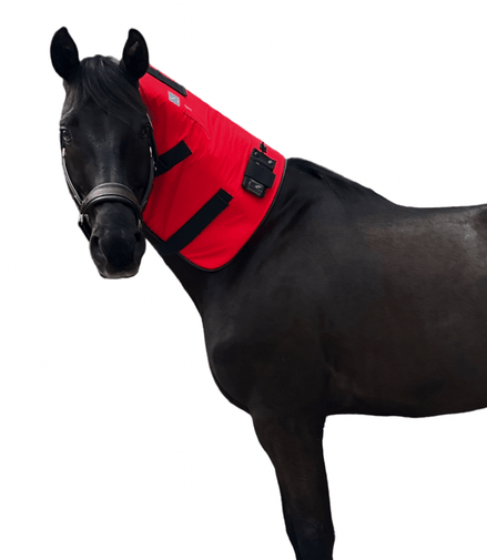SportInnovations Therapyblanket MagPro neck part Therapeutisch - Maddelin Equestrian SportInnovations