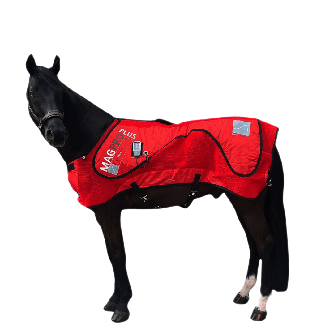 SportInnovations Therapyblanket MAGPRO Plus Therapeutisch - Maddelin Equestrian SportInnovations