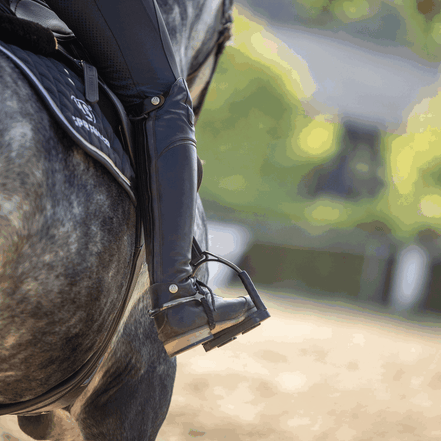 Sprenger Bow Balance Stirrups - Stainless steel Edelstaal 120mm Beugels - Maddelin Equestrian Sprenger