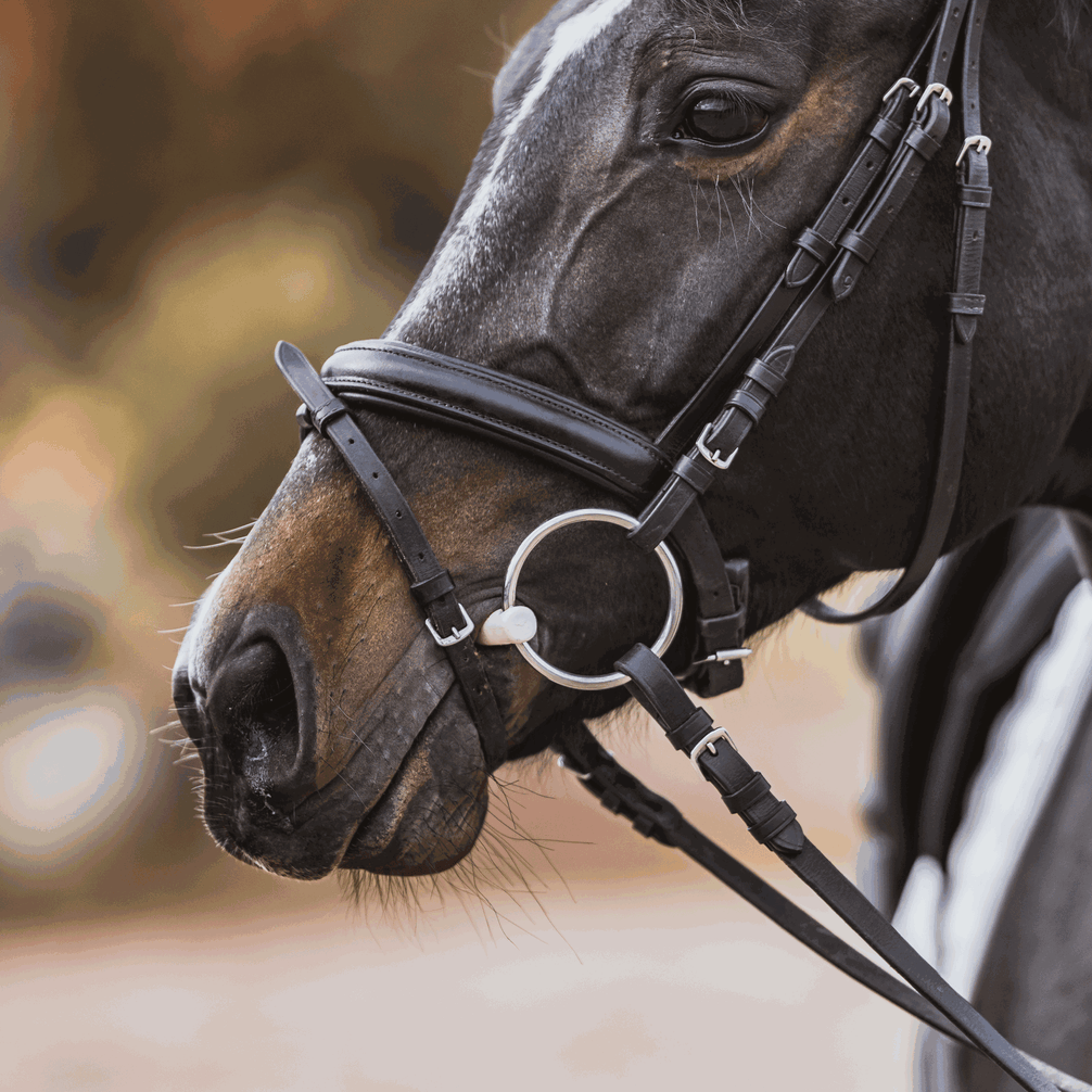 Sprenger Duo Bustrens Bus, D, Eggbutt,... - Maddelin Equestrian Sprenger