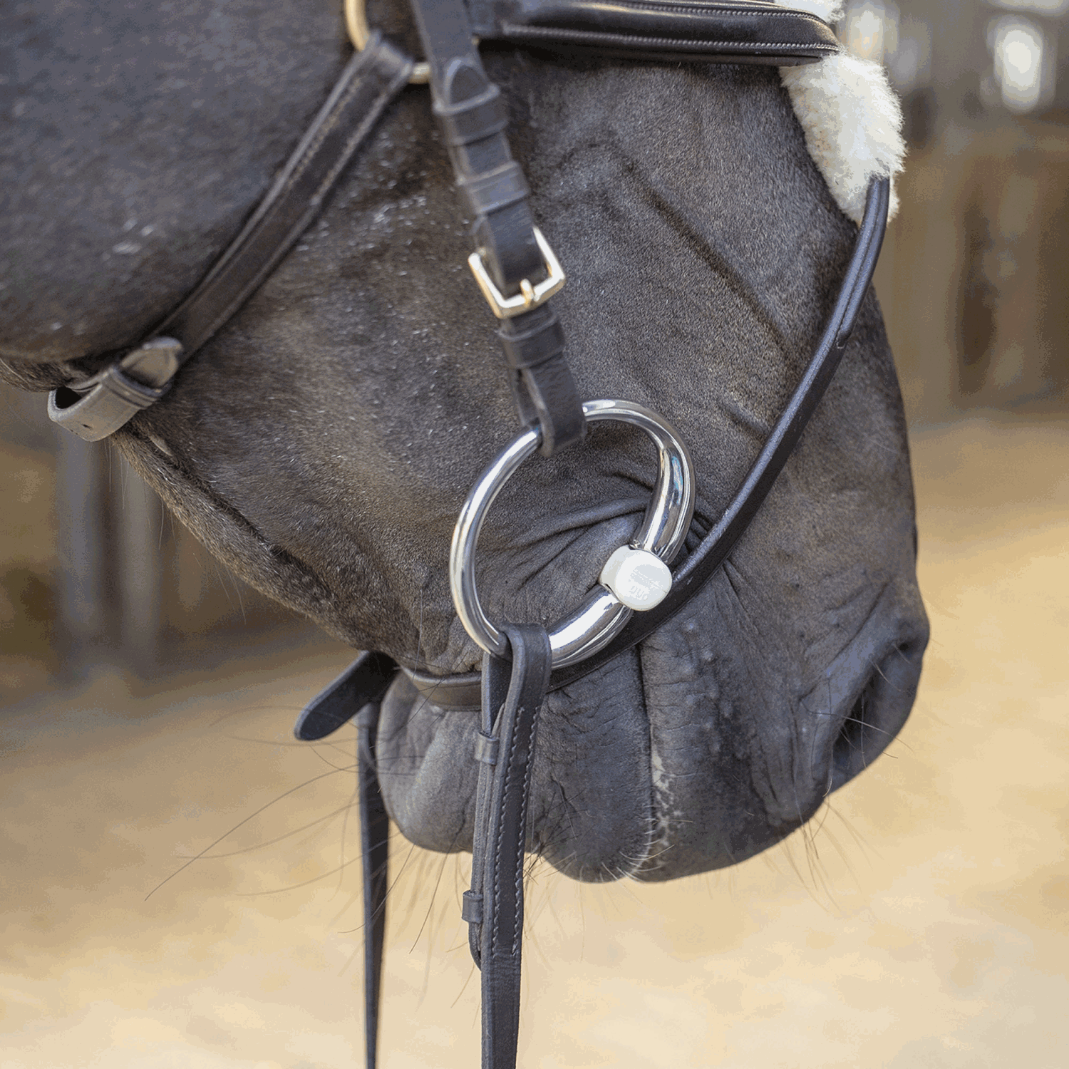 Sprenger Duo Bustrens Bus, D, Eggbutt,... - Maddelin Equestrian Sprenger