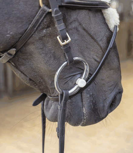 Sprenger Duo Bustrens Bus, D, Eggbutt,... - Maddelin Equestrian Sprenger