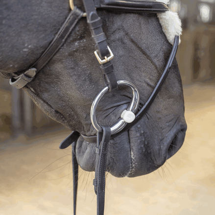 Sprenger Duo Bustrens Bus, D, Eggbutt,... - Maddelin Equestrian Sprenger
