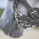 Sprenger Dynamic RS Baby Pelham Enkelgebroken Pelham - Maddelin Equestrian Sprenger