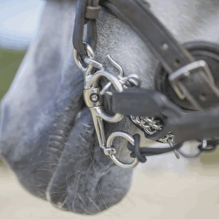 Sprenger Dynamic RS Baby Pelham Enkelgebroken Pelham - Maddelin Equestrian Sprenger