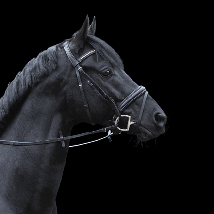 Sprenger Dynamic RS D - shaped rings Dubbel Gebroken Sensogan Bus, D, Eggbutt,... - Maddelin Equestrian Sprenger