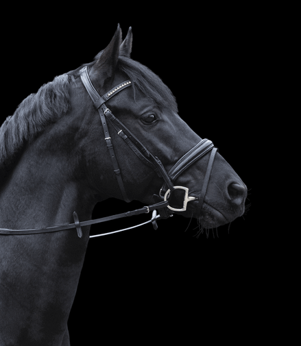 Sprenger Dynamic RS D - shaped rings Dubbel Gebroken Sensogan Bus, D, Eggbutt,... - Maddelin Equestrian Sprenger