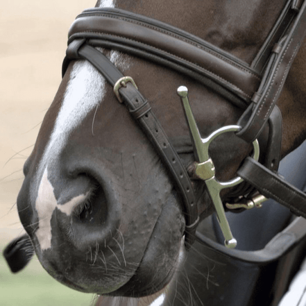 Sprenger Dynamic RS Kneveltrens - 16mm Bus, D, Eggbutt,... - Maddelin Equestrian Sprenger