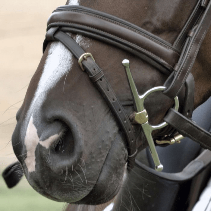 Sprenger Dynamic RS Kneveltrens - 16mm Bus, D, Eggbutt,... - Maddelin Equestrian Sprenger