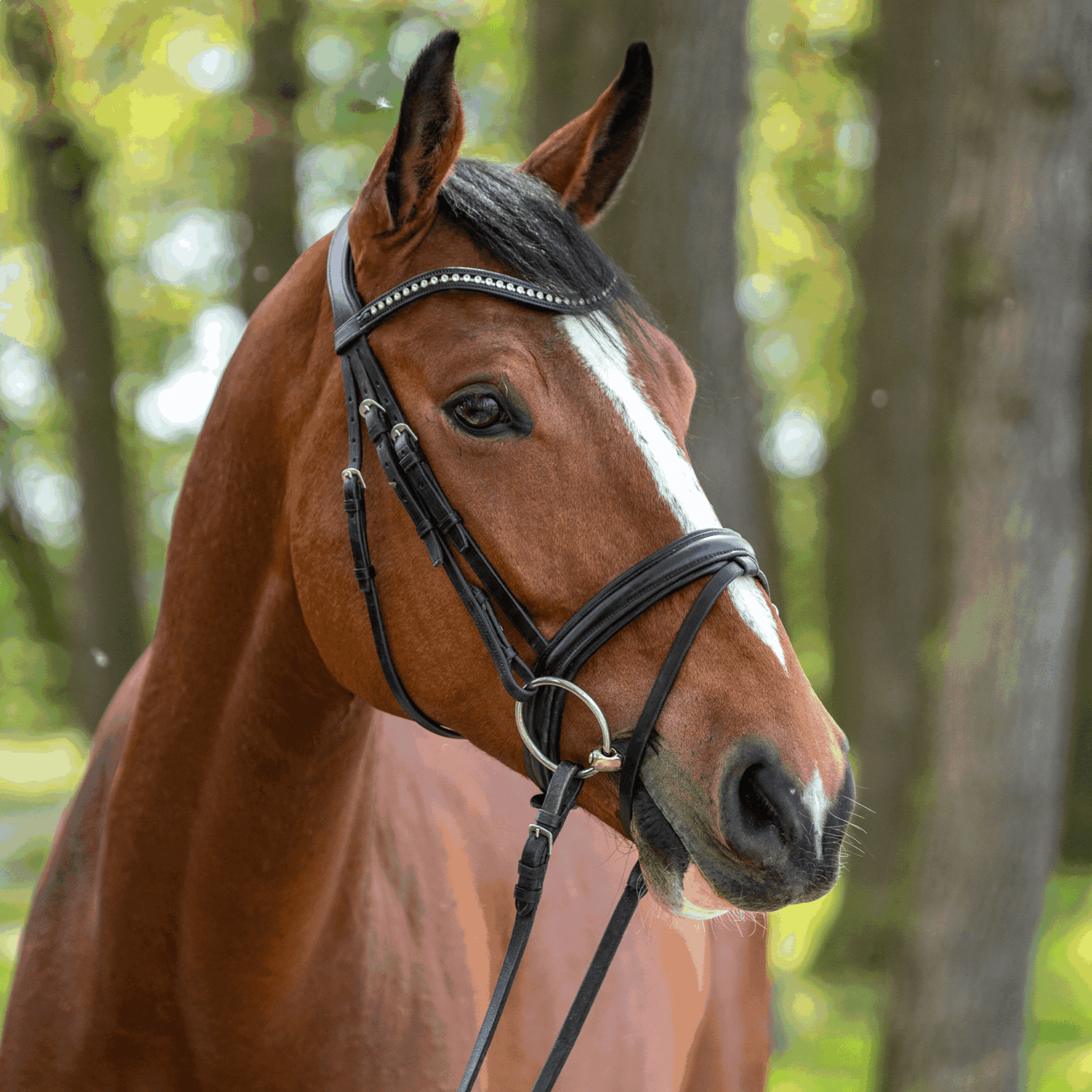 Sprenger Dynamic RS Losse ringen Enkel Gebroken Bus, D, Eggbutt,... - Maddelin Equestrian Sprenger