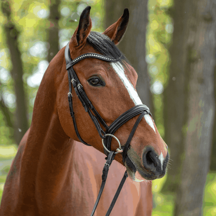 Sprenger Dynamic RS Losse ringen Enkel Gebroken Bus, D, Eggbutt,... - Maddelin Equestrian Sprenger