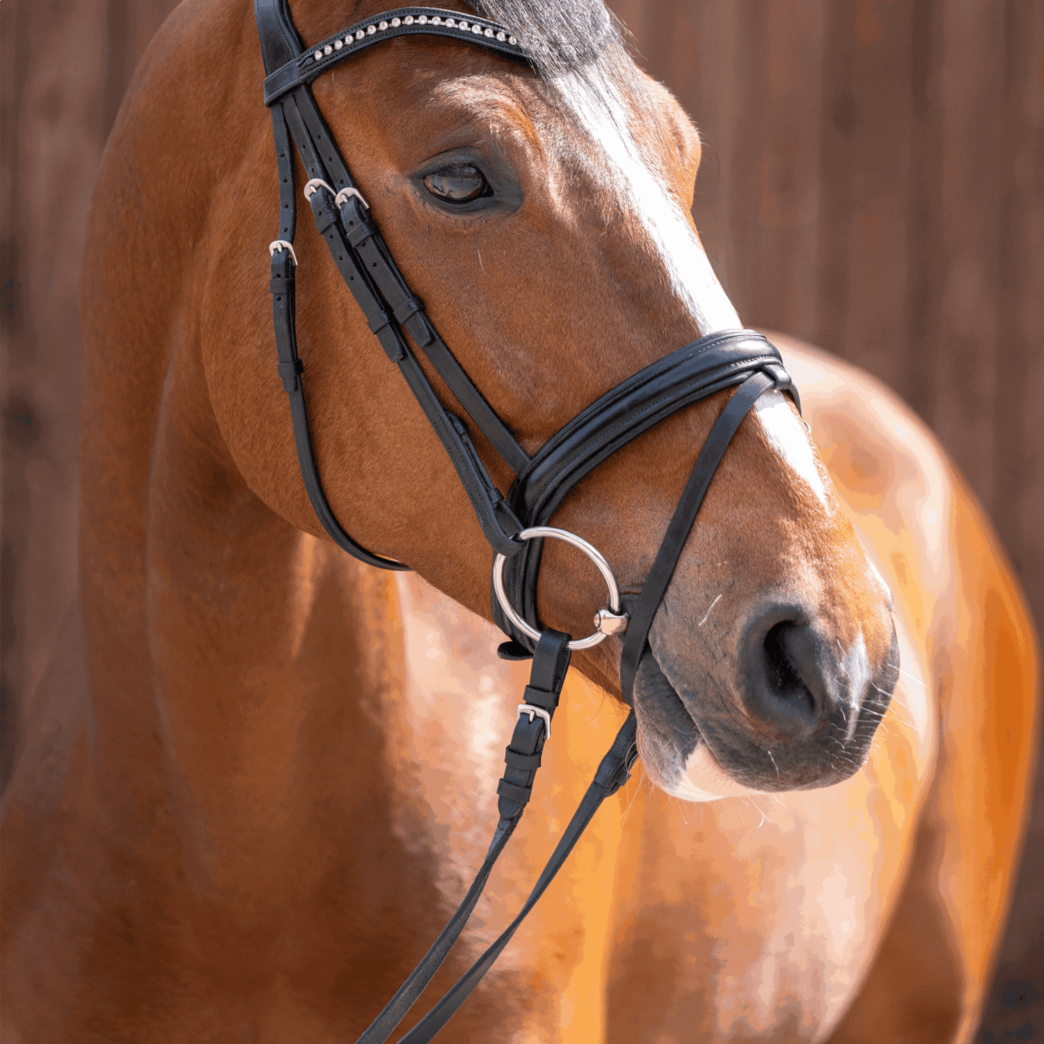 Sprenger Dynamic RS Losse ringen Enkel Gebroken Bus, D, Eggbutt,... - Maddelin Equestrian Sprenger