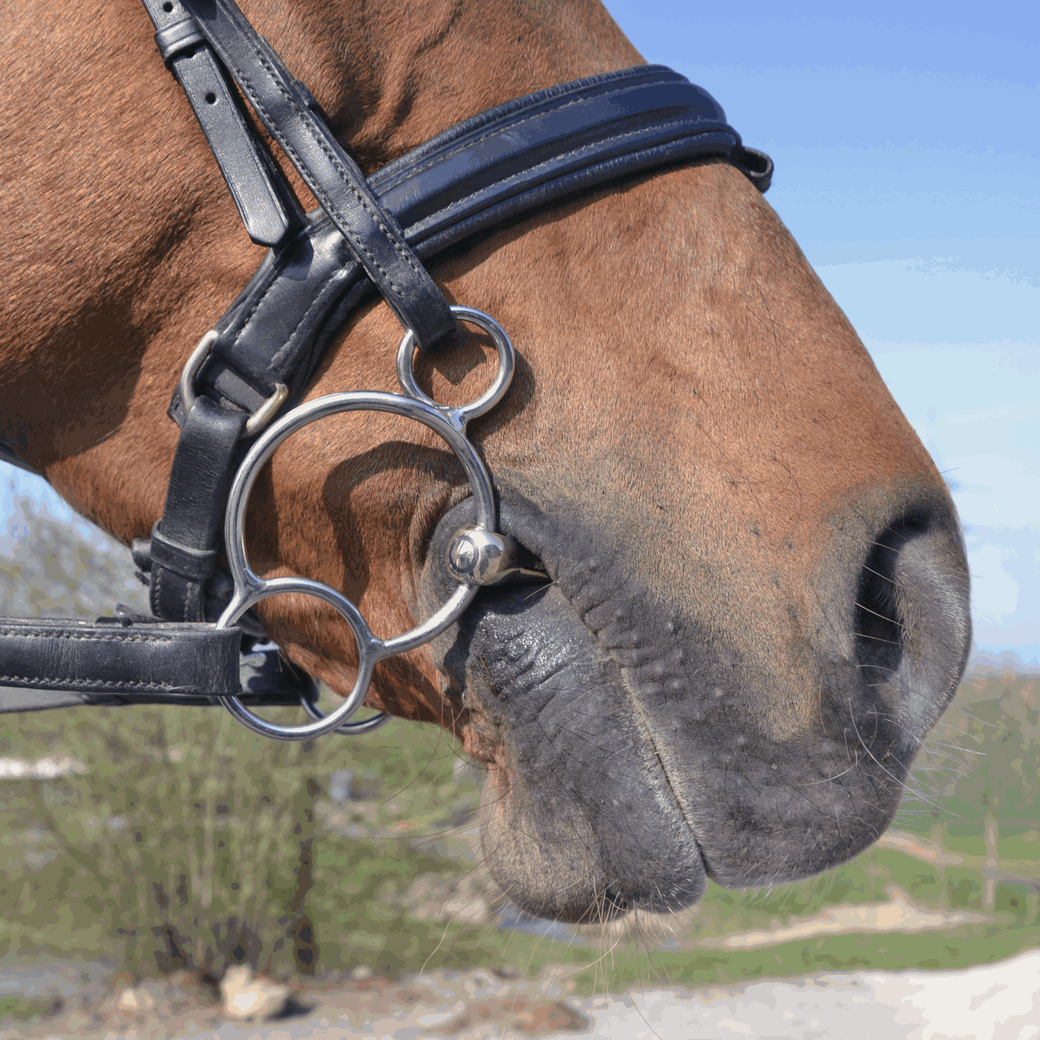 Sprenger Dynamic RS Universal Dubbel Gebroken 3ring, Beval, Kimblewick, RNF, Butterfly,... - Maddelin Equestrian Sprenger