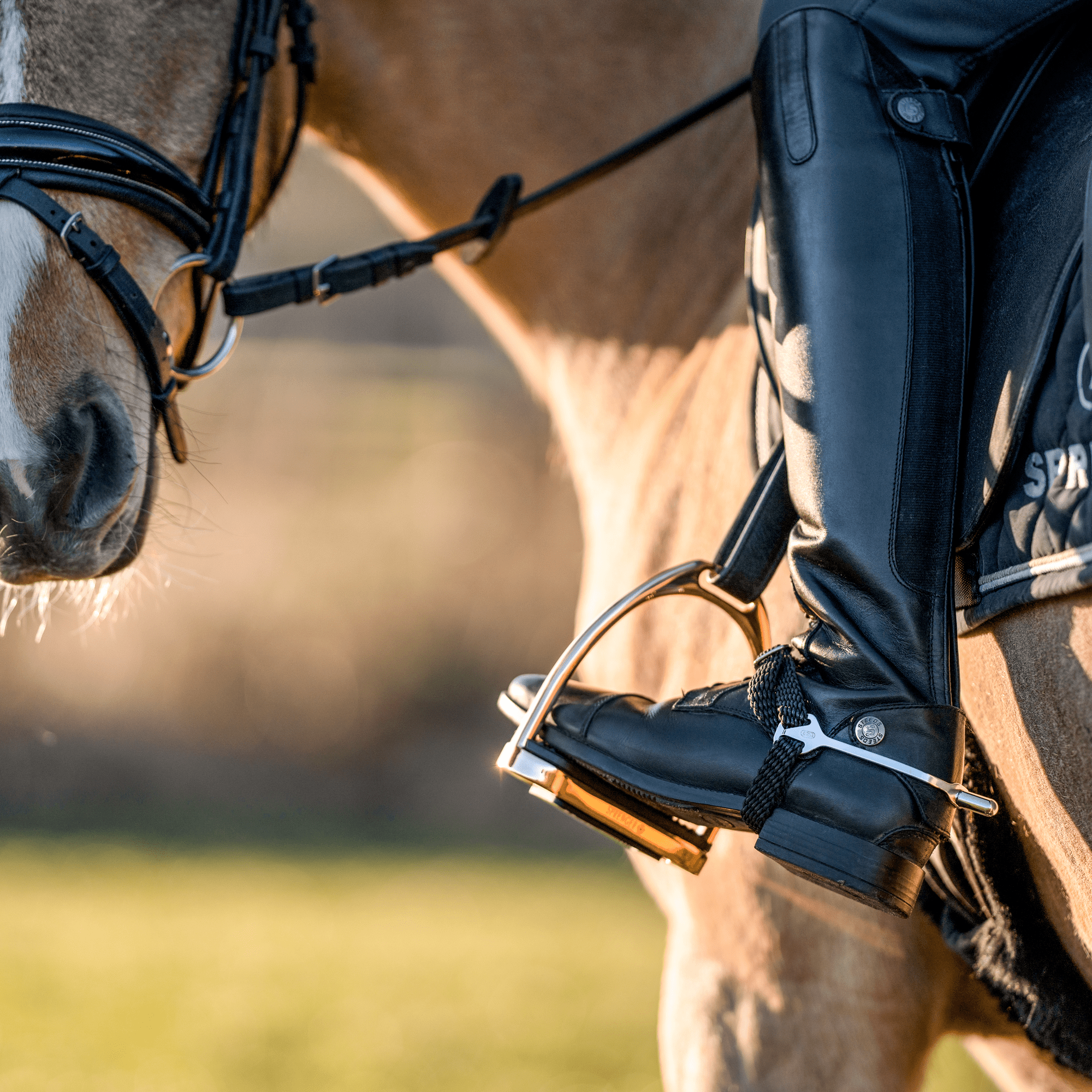 Sprenger Fillis Stirrups Stainless Steel Beugels - Maddelin Equestrian Sprenger