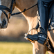 Sprenger Fillis Stirrups Stainless Steel Beugels - Maddelin Equestrian Sprenger