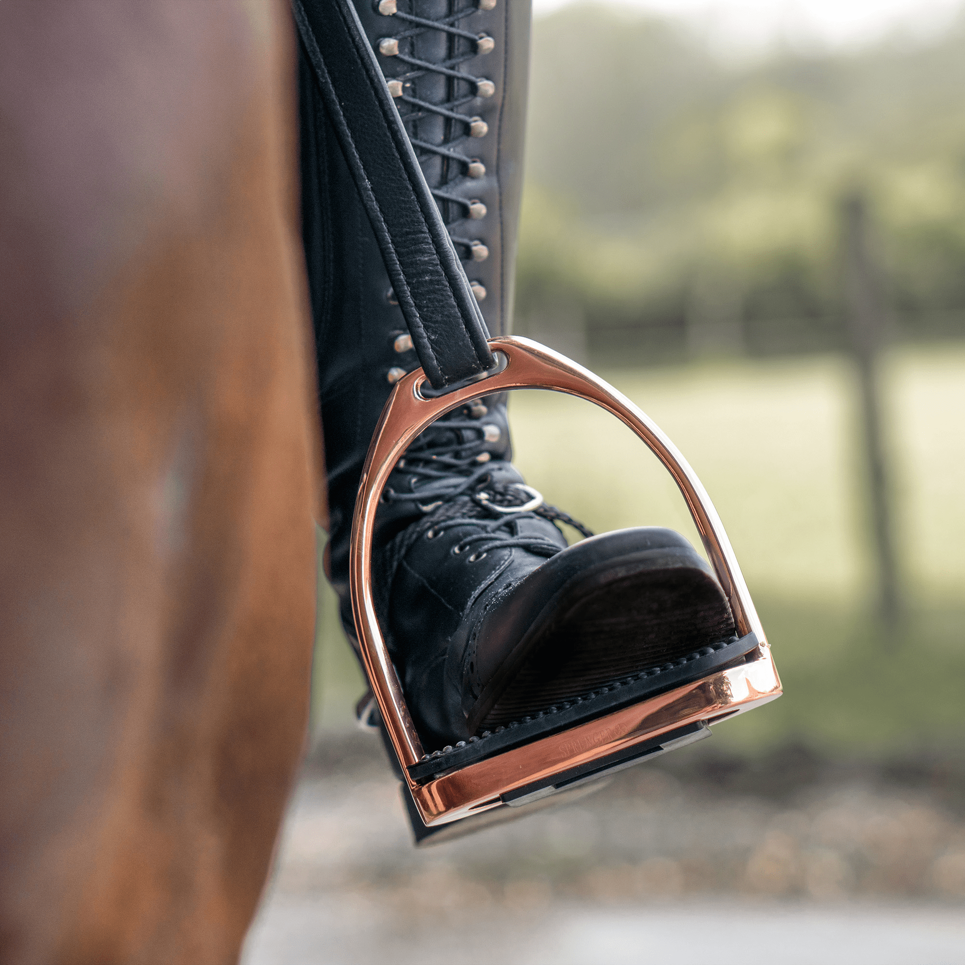 Sprenger Fillis Stirrups Stainless Steel Beugels - Maddelin Equestrian Sprenger