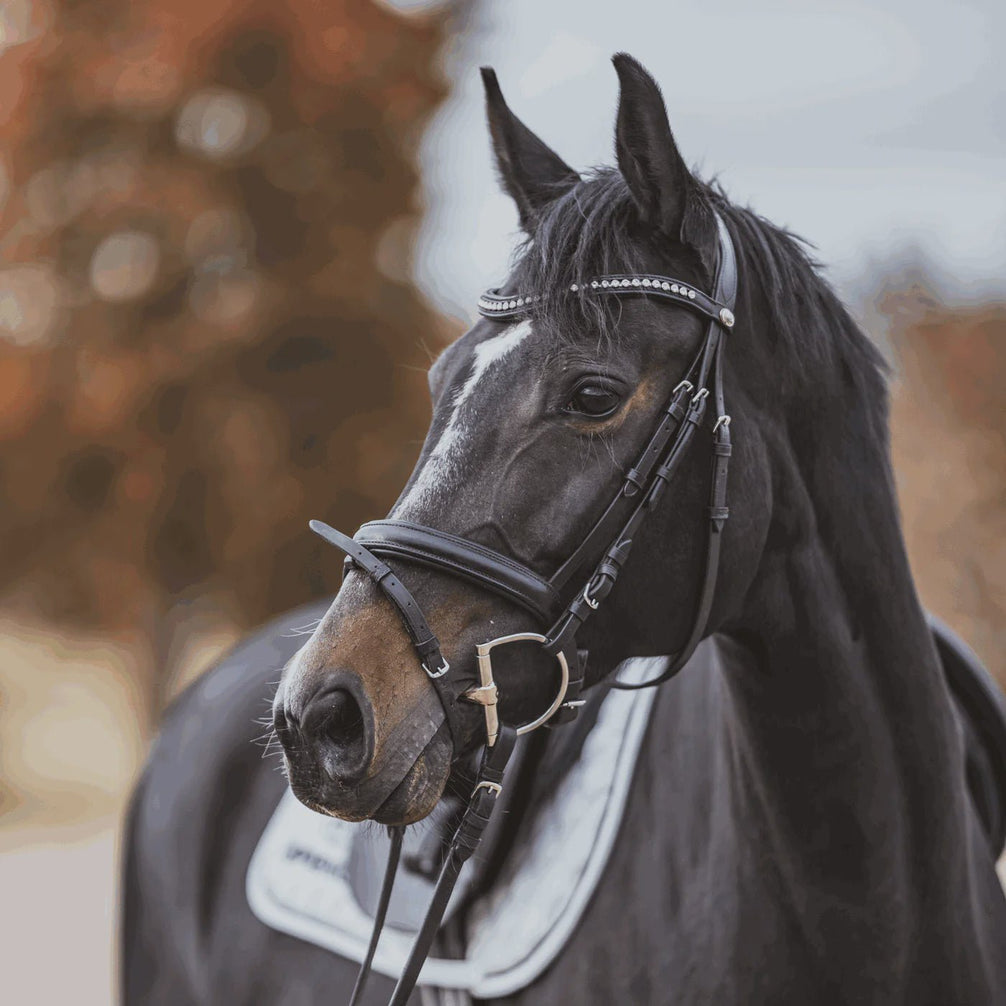 Sprenger KK D - Ring  Sensogan Bus, D, Eggbutt,... - Maddelin Equestrian Sprenger