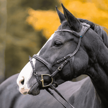 Sprenger KK D - Ring  Sensogan Bus, D, Eggbutt,... - Maddelin Equestrian Sprenger