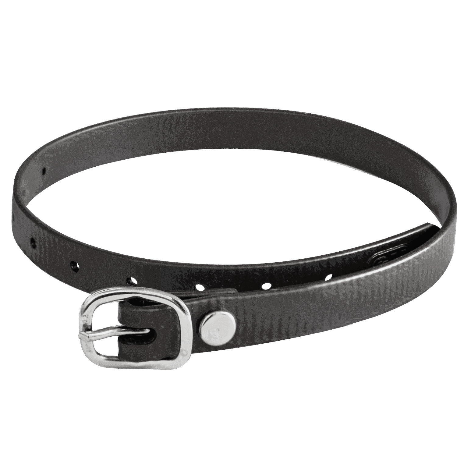 Sprenger Spur Straps 45cm Biothane Sporen - Maddelin Equestrian Sprenger