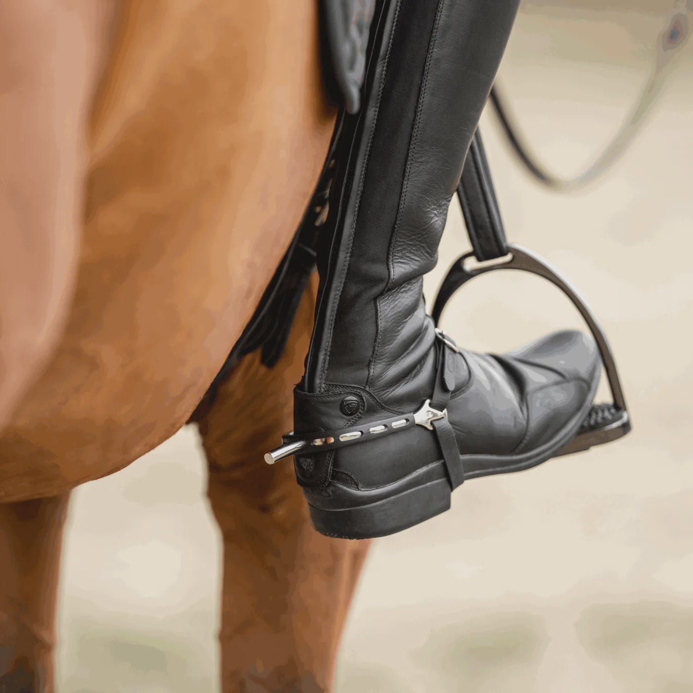 Sprenger Ultra fit Extra Grip sporen Plat Sporen - Maddelin Equestrian Sprenger