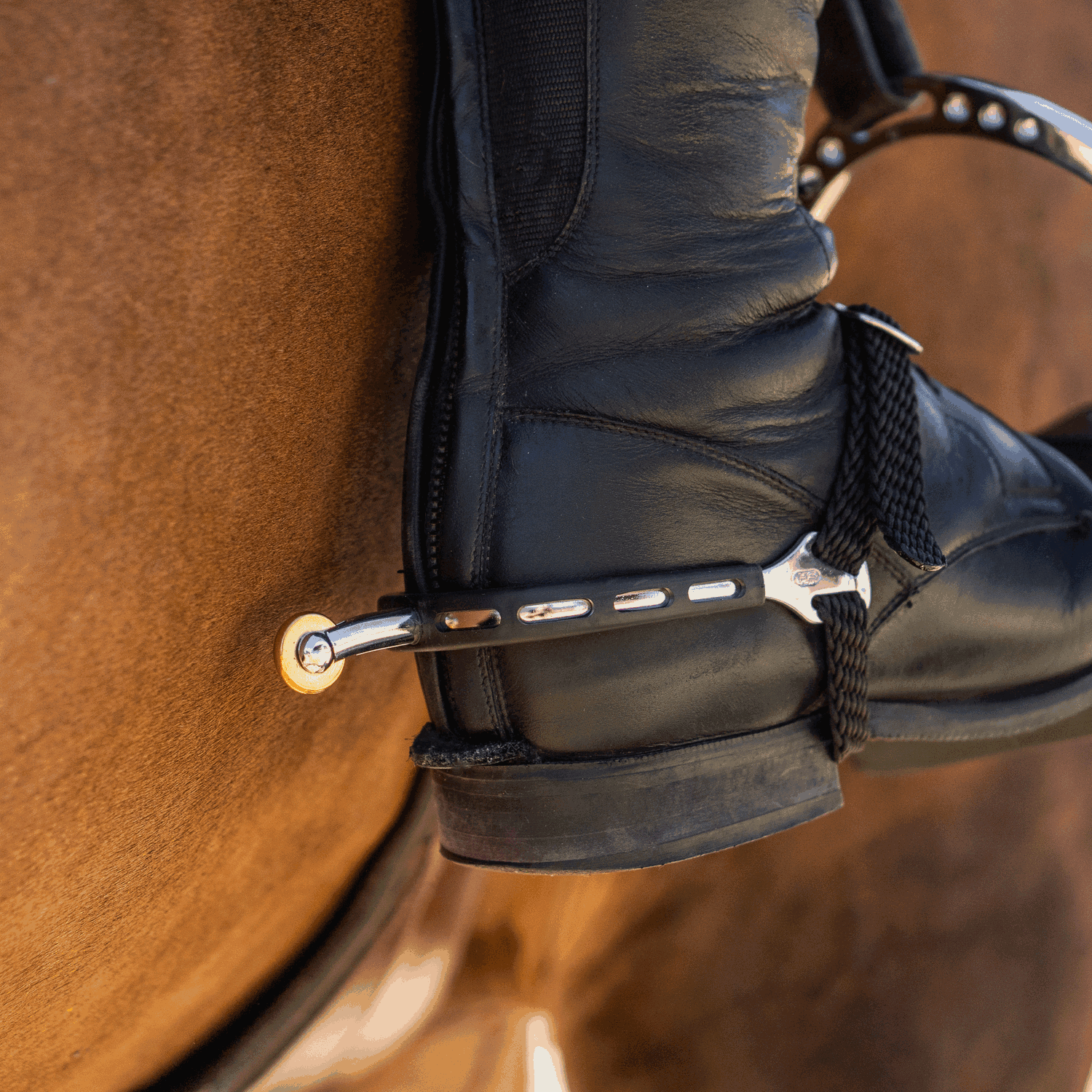 Sprenger Ultra fit Extra Grip spurs Comfort Roller Vertical Sporen - Maddelin Equestrian Sprenger