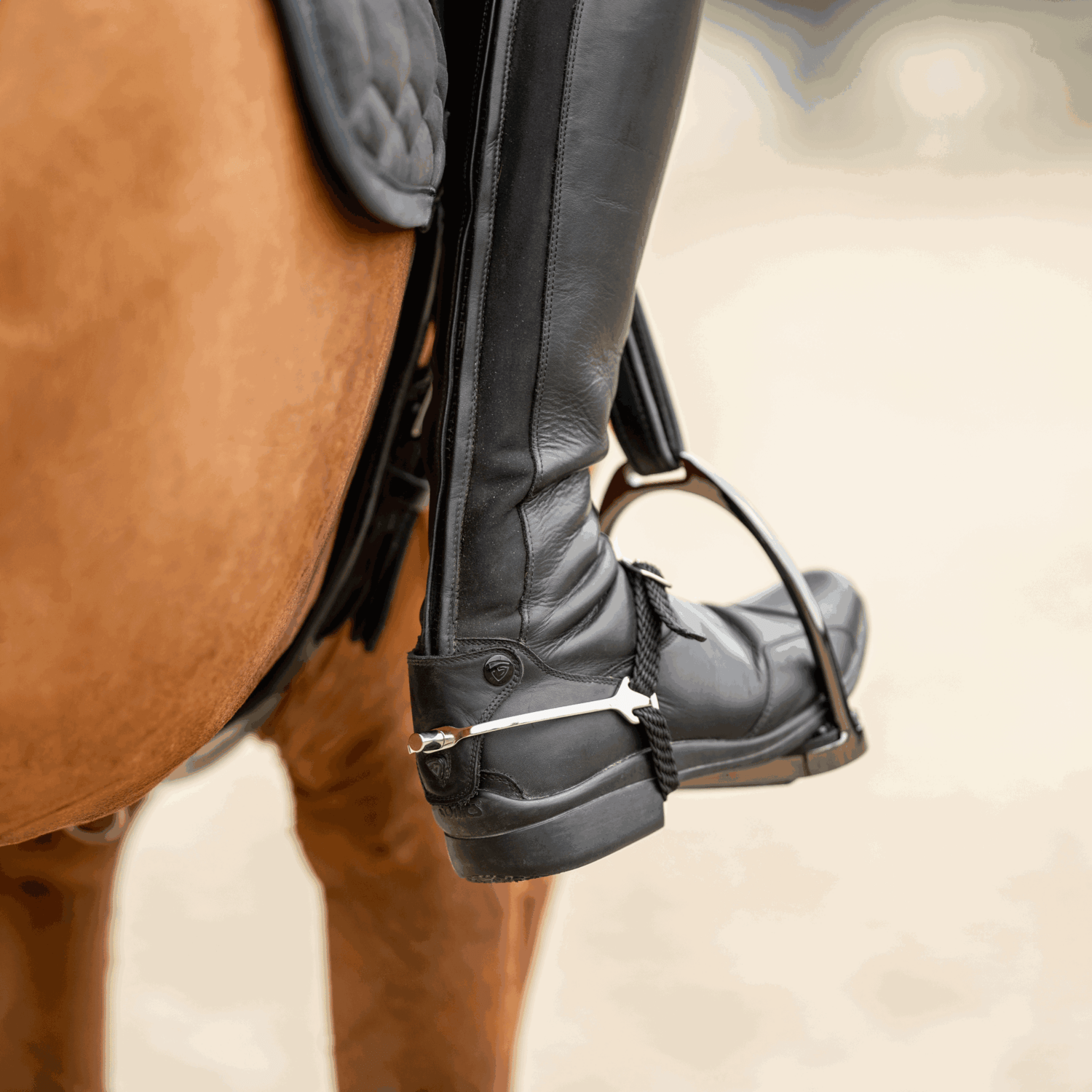 Sprenger Ultra fit Slimline spurs Flat Sporen - Maddelin Equestrian Sprenger