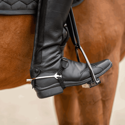 Sprenger Ultra fit Slimline spurs Flat Sporen - Maddelin Equestrian Sprenger