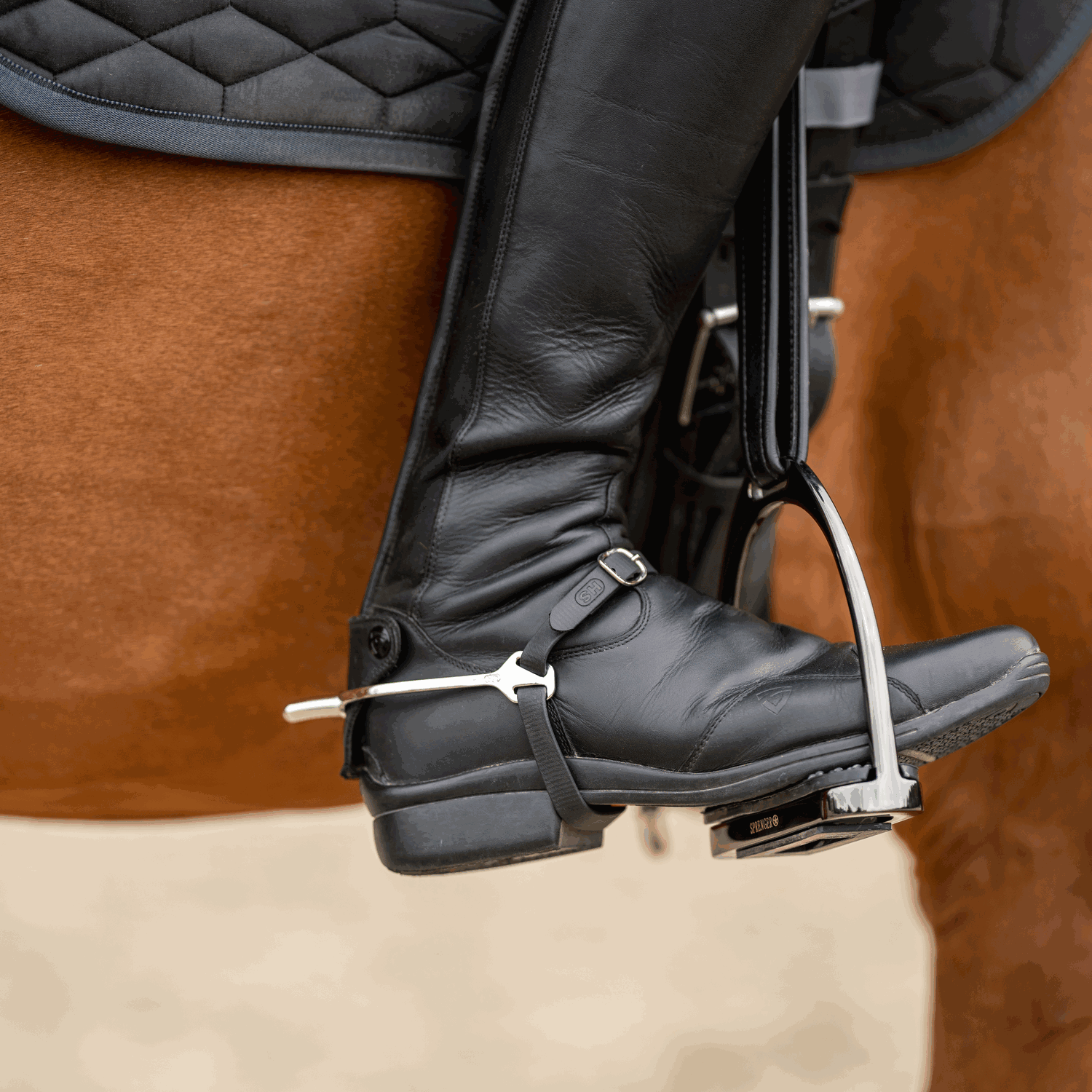 Sprenger Ultra fit Slimline spurs Rounded Sporen - Maddelin Equestrian Sprenger