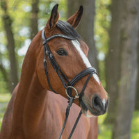 Sprenger WH ULTRA Soft Sensogan Watertrens - Maddelin Equestrian Sprenger