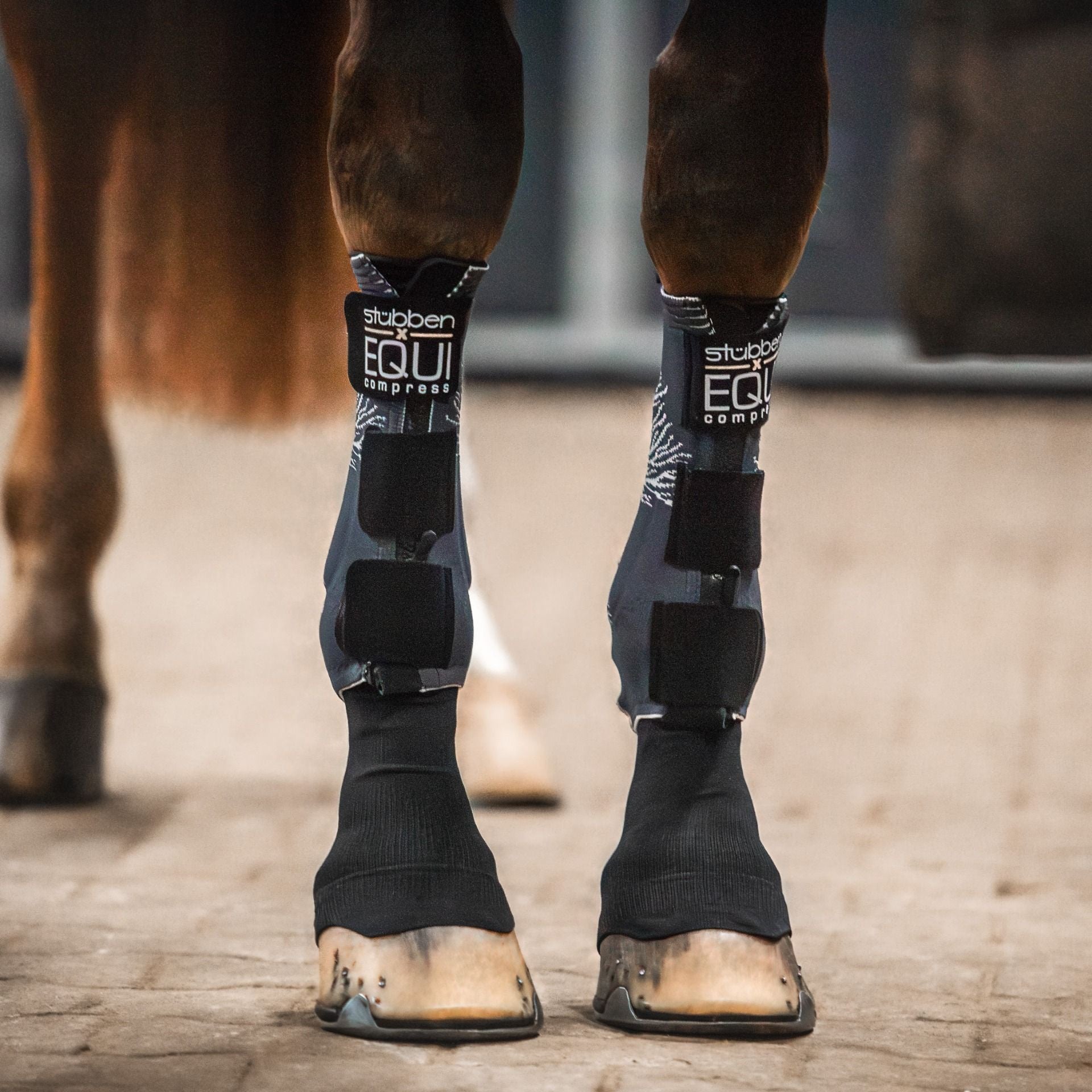 Stübben EQUI Compress Transport, therapeutisch en stalbeschermers - Maddelin Equestrian Stübben