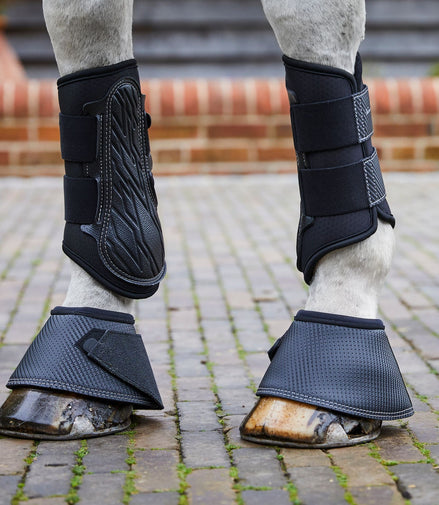 Stübben Gravity Springschoenen Springschoenen - Maddelin Equestrian Stübben