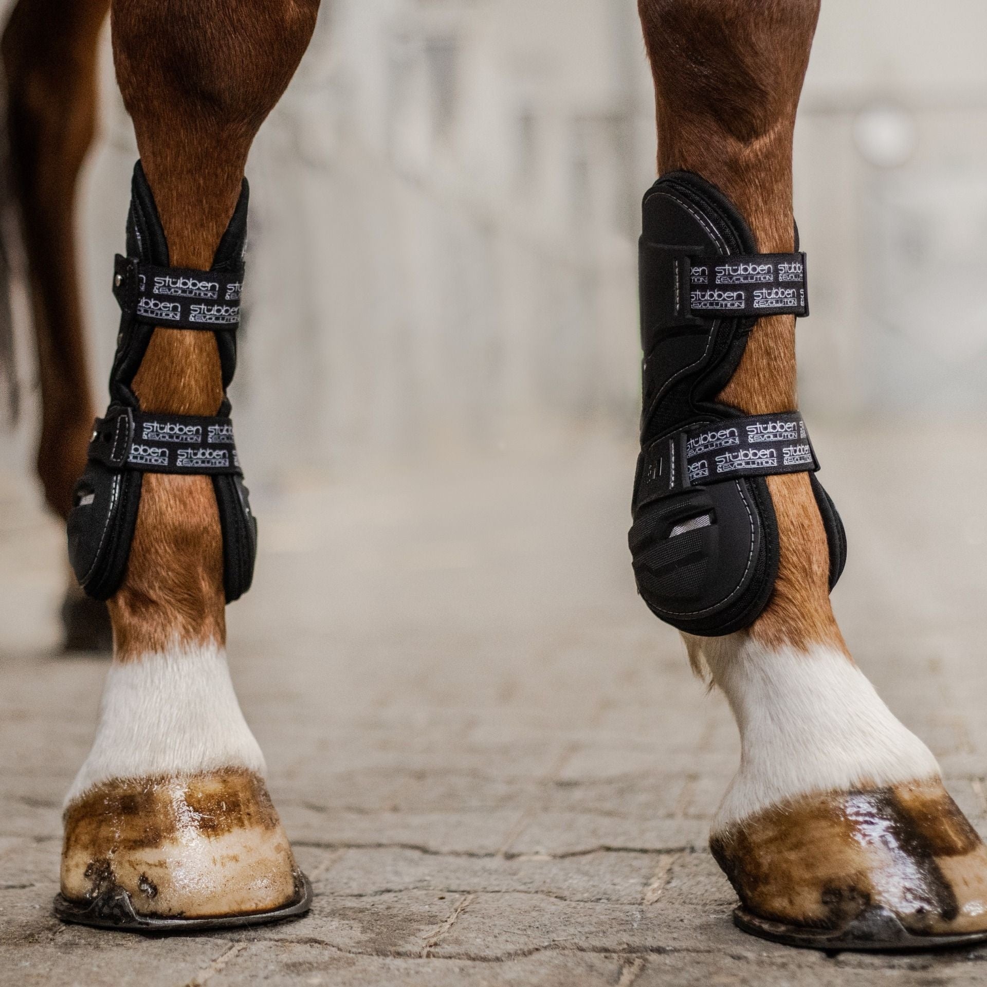 Stübben Hybrid Peesbeschermers Peesbeschermers - Maddelin Equestrian Stübben