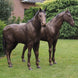 Thermobrass Bronzen Beeld Koppel Paarden | Maddelin Equestrian
