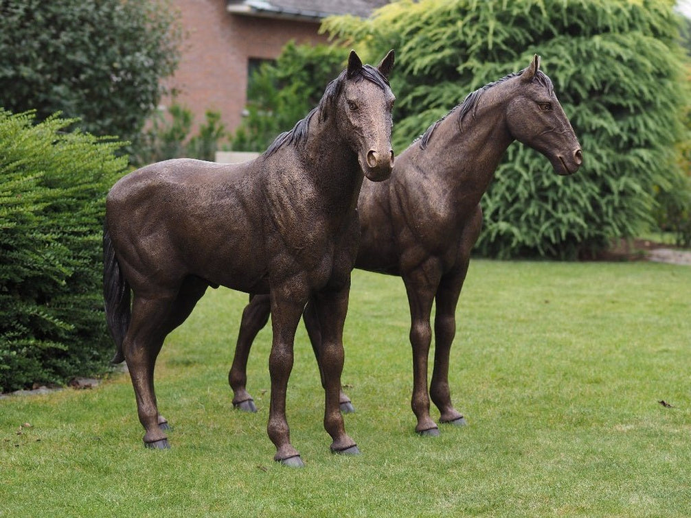 Thermobrass Bronzen Beeld Koppel Paarden | Maddelin Equestrian