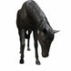 Thermobrass Bronzen Beeld Levensgroot Paard Hoofd Omlaag | Maddelin Equestrian