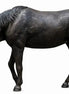 Thermobrass Bronzen Beeld Levensgroot Paard Hoofd Omlaag | Maddelin Equestrian