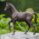 Thermobrass Bronzen Beeld Paard 29 cm | Maddelin Equestrian