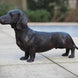Thermobrass Bronzen Beeld Tekkel | Maddelin Equestrian