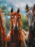 Thermobrass Metalen 3D Schilderij 3 Paarden | Maddelin Equestrian