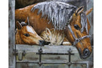Thermobrass Metalen 3D Schilderij Furry Friends | Maddelin Equestrian