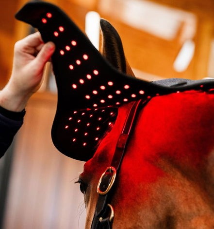 Horseware Rambo LED Red Light Therapy Cap
