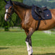 Tommy Hilfiger Equestrian Columbia Zadeldek Zadeldoeken - Maddelin Equestrian Tommy Hilfiger Equestrian